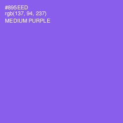 #895EED - Medium Purple Color Image